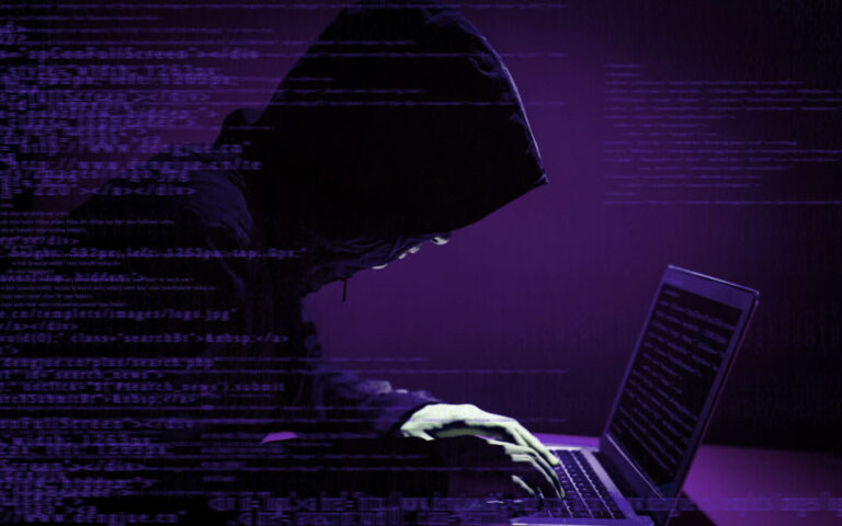 criminosos digitais e dados