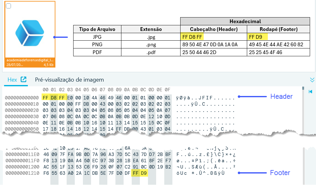 Figura 2- Imagem de uma análise hexadecimal de um arquivo jpg 